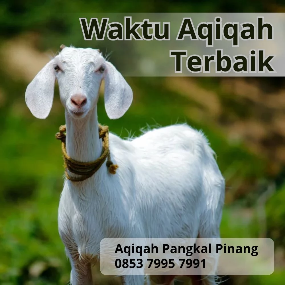 Kapan Waktu Terbaik untuk Aqiqah Anak? Ini Penjelasannya